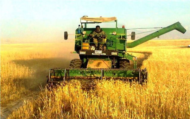 بیمه روستائیان و عشایر سمنان ۱۰۰ هزار نفر را پوشش می دهد