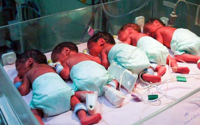 حمایت بیمه سلامت از خانواده های چند قلوی گچسارانی