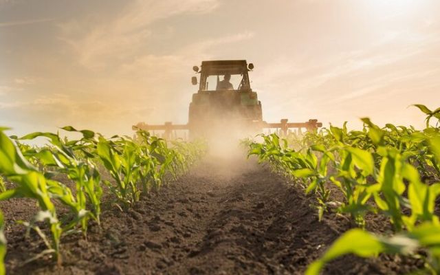 چالش های پیش روی بیمه محصولات زراعی در آمریکا