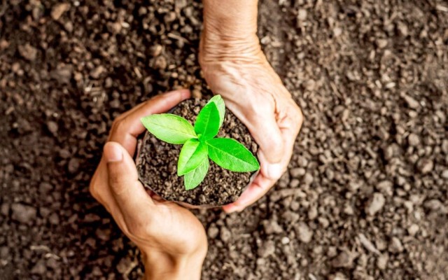 میزان پوشش بیمه‌ای محصولات کشاورزی استان سمنان چندان مناسب نیست