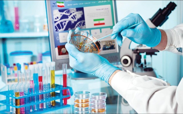 بیمه سلامت استان بوشهر ۸۲۰ میلیارد ریال از مطالبات مراکز تشخیصی درمانی را پرداخت کرد