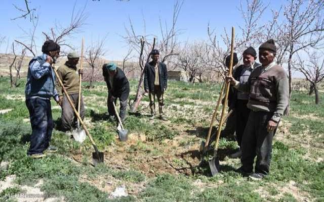 یک عضو به ازای هر ۱۰ بازنشسته‌ به صندوق بیمه کشاورزی زنجان اضافه می‌شود