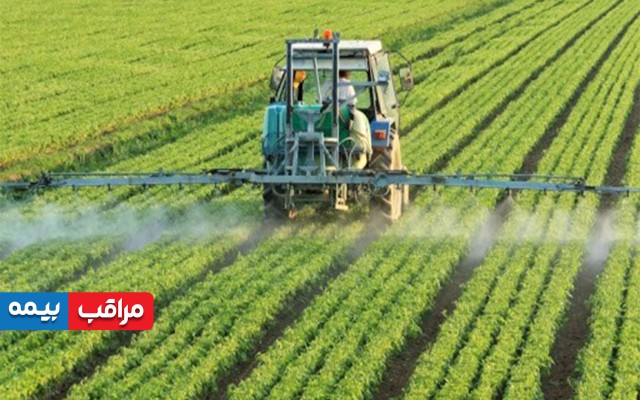 فراگیر شدن بیمه محصولات کشاورزی عاملی موثر در کاهش هزینه‌ها