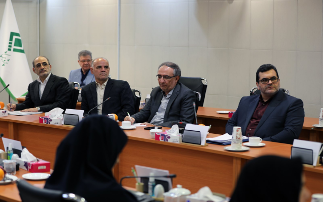 در بیست‌و‌پنجمین جلسه کارگروه تکافل پژوهشکده بیمه الگوی اجرایی تکافل شرکت بیمه دی ارائه شد